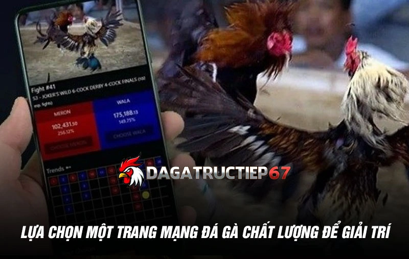 Lựa chọn một trang mạng đá gà chất lượng để giải trí